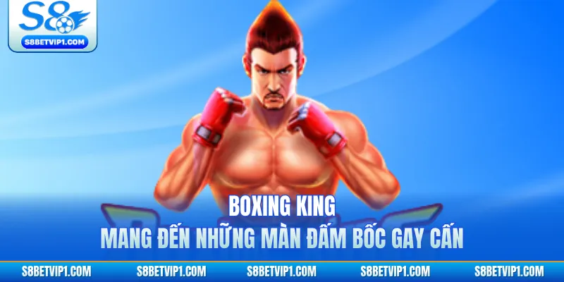 Boxing King mang đến những màn đấm bốc gay cấn
