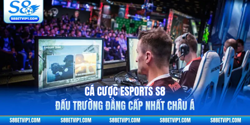 Cá Cược Esports S8 - Đấu Trường Đẳng Cấp Nhất Châu Á