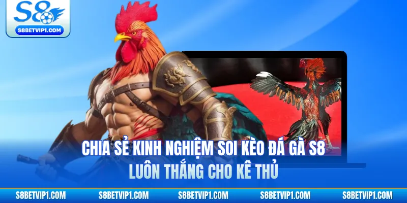 Chia Sẻ Kinh Nghiệm Soi Kèo Đá Gà S8 Luôn Thắng Cho Kê Thủ