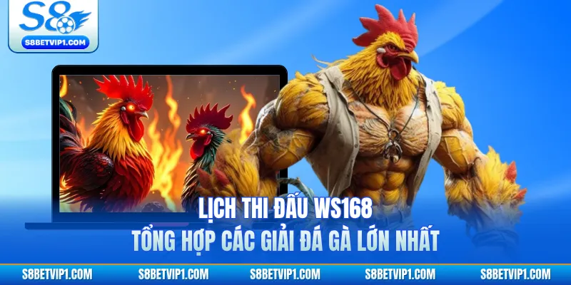 Lịch Thi Đấu WS168 - Tổng Hợp Các Giải Đá Gà Lớn Nhất
