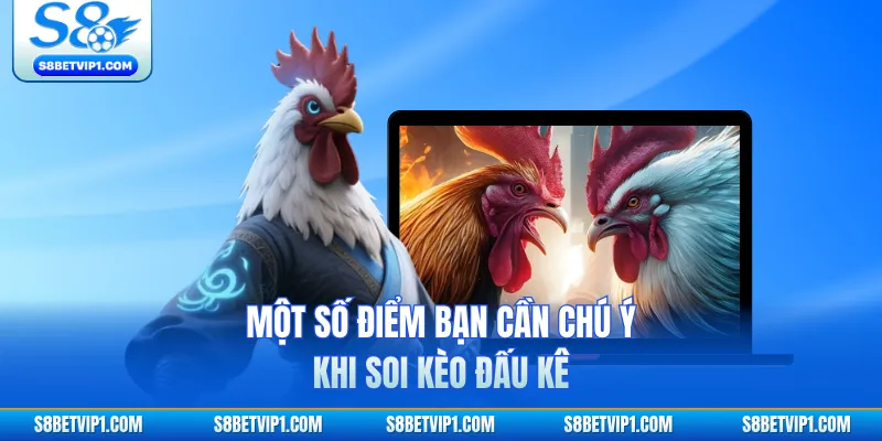 Một số điểm bạn cần chú ý khi soi kèo đấu kê