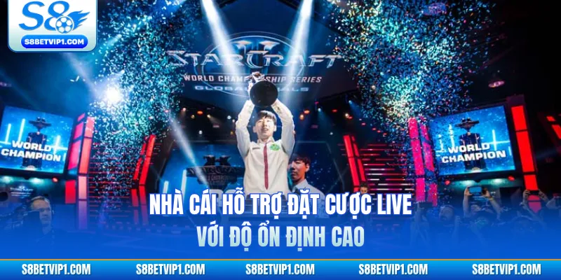 Nhà cái hỗ trợ đặt cược live với độ ổn định cao