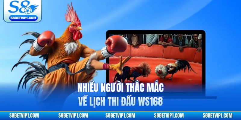 Nhiều người thắc mắc về lịch thi đấu WS168