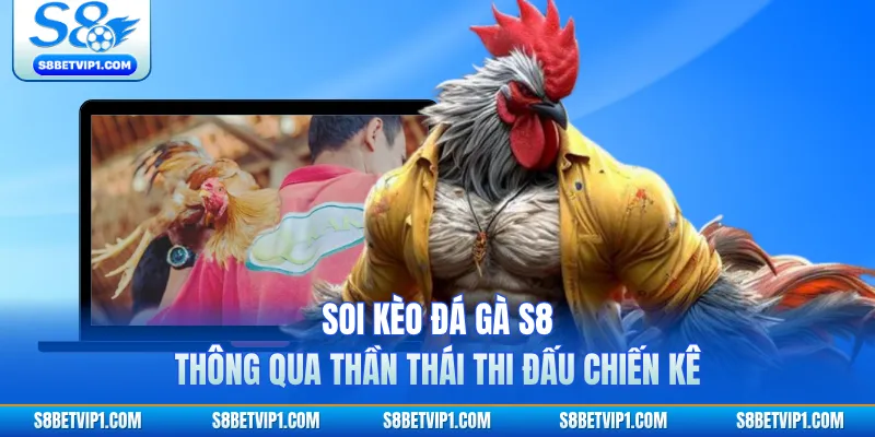 Soi kèo đá gà S8 thông qua thần thái thi đấu chiến kê