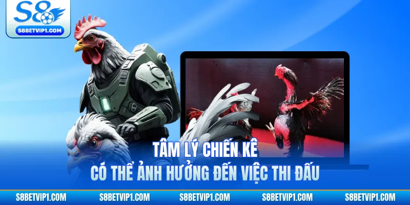 Tâm lý chiến kê có thể ảnh hưởng đến việc thi đấu