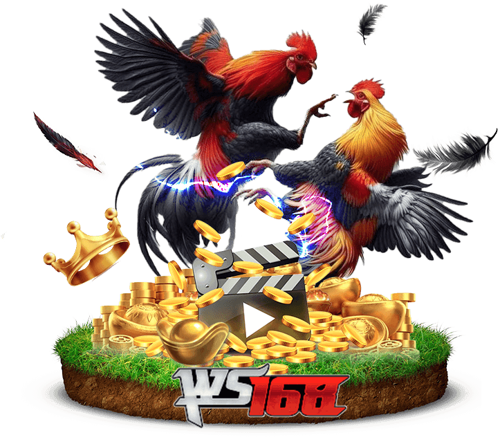 hotgame cock bg